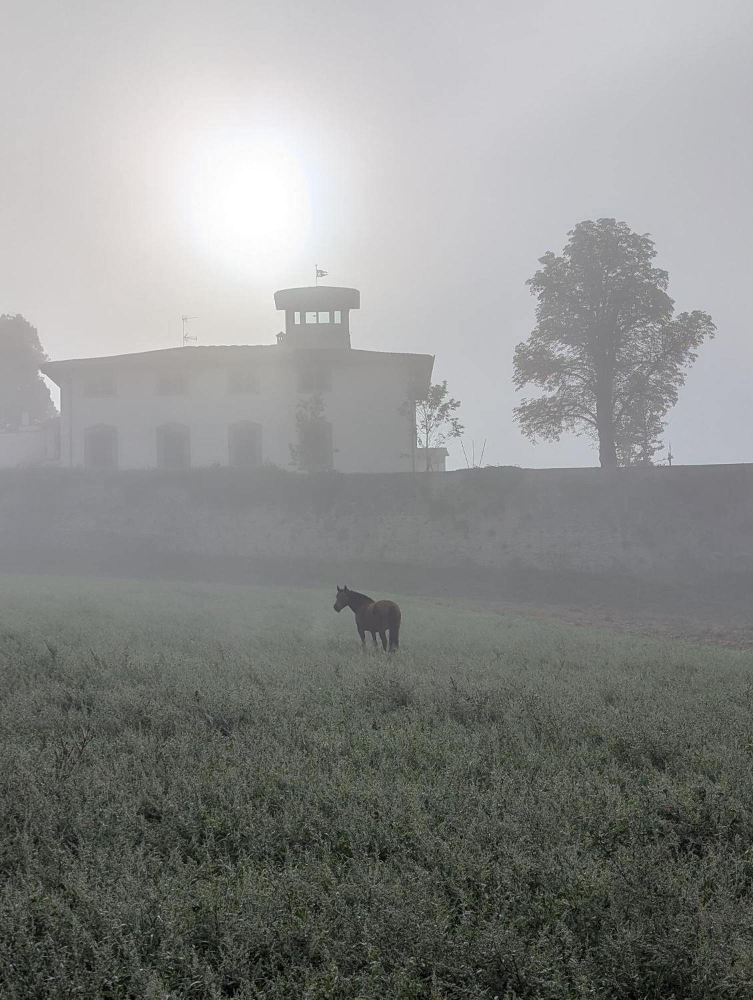 Villa Poggio Bartoli Molezzano Exterior foto